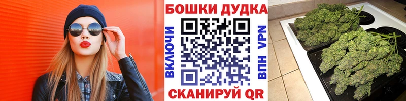 где продают   Пудож  mega зеркало  Шишки марихуана VHQ 